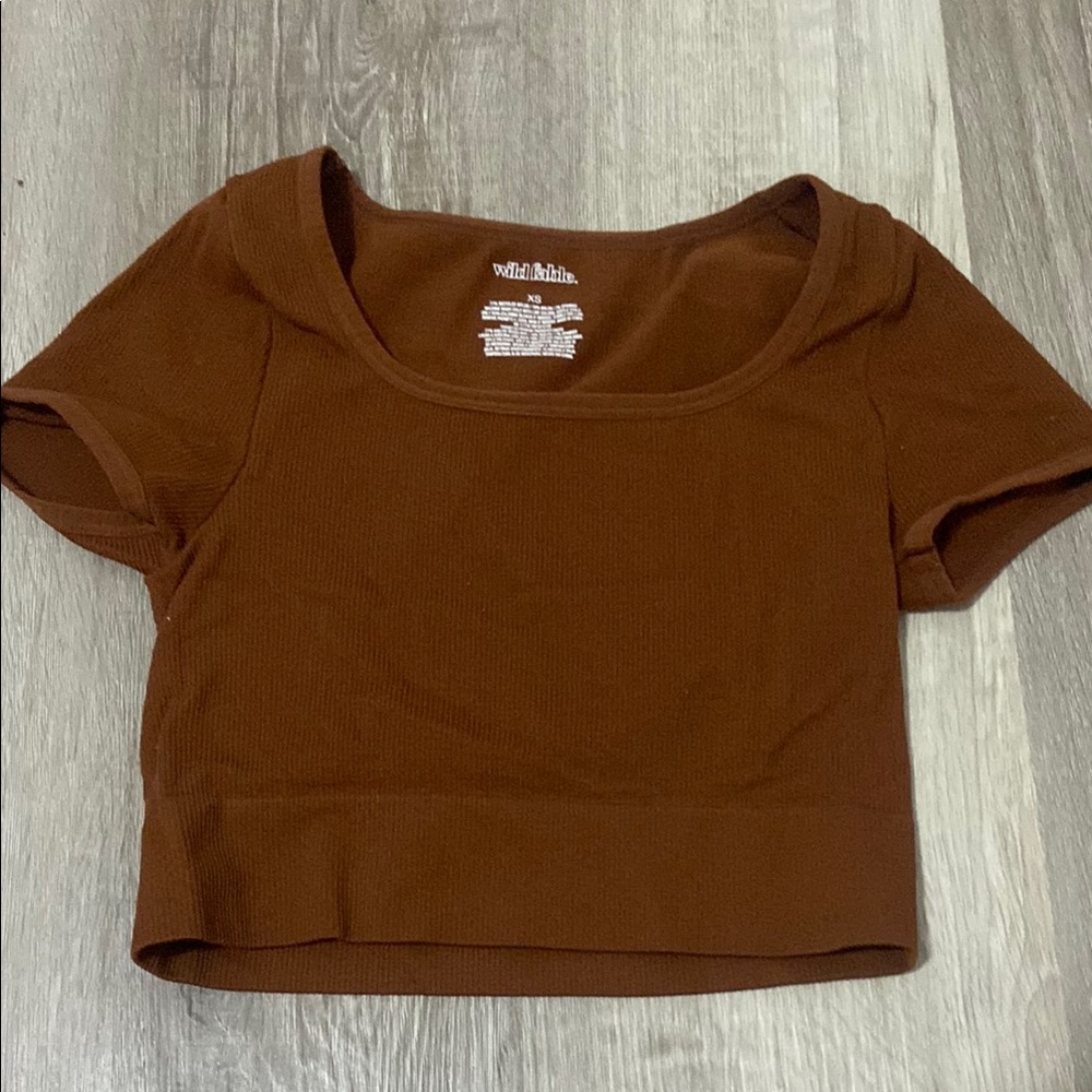 Wild Fable Brown Fitted Crop T-Shirt